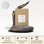 Pack de Découverte Bougie Perlée Sequoia®