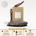 Pearled Candle Discovery Pack - Sequoia®